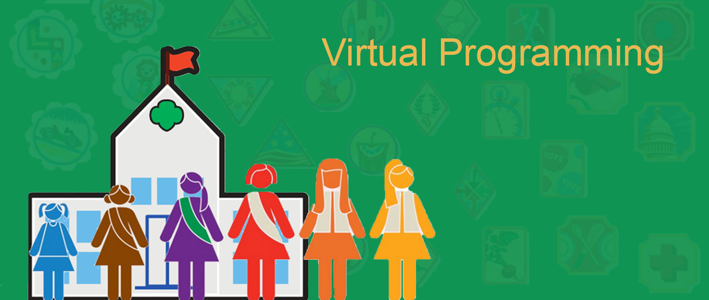 Virtual Programming